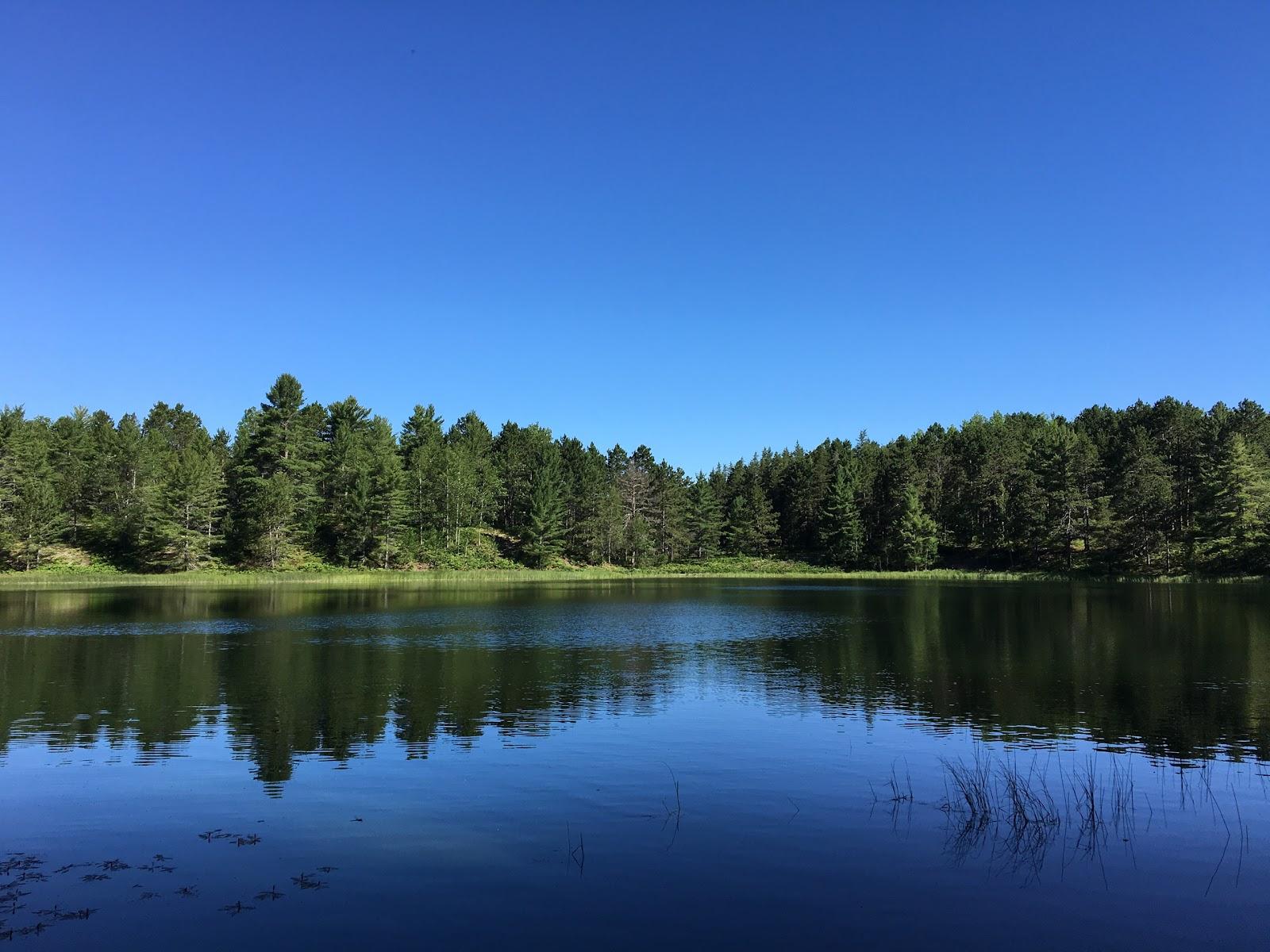 Sandee - Pretty Lake State Forest Campground