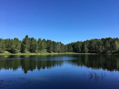 Sandee - Pretty Lake State Forest Campground