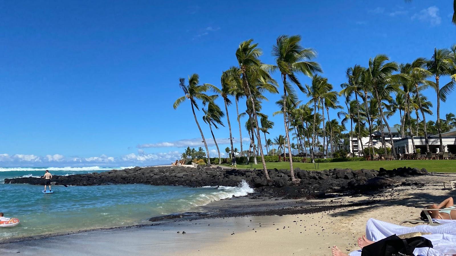 Sandee - Pauoa Bay