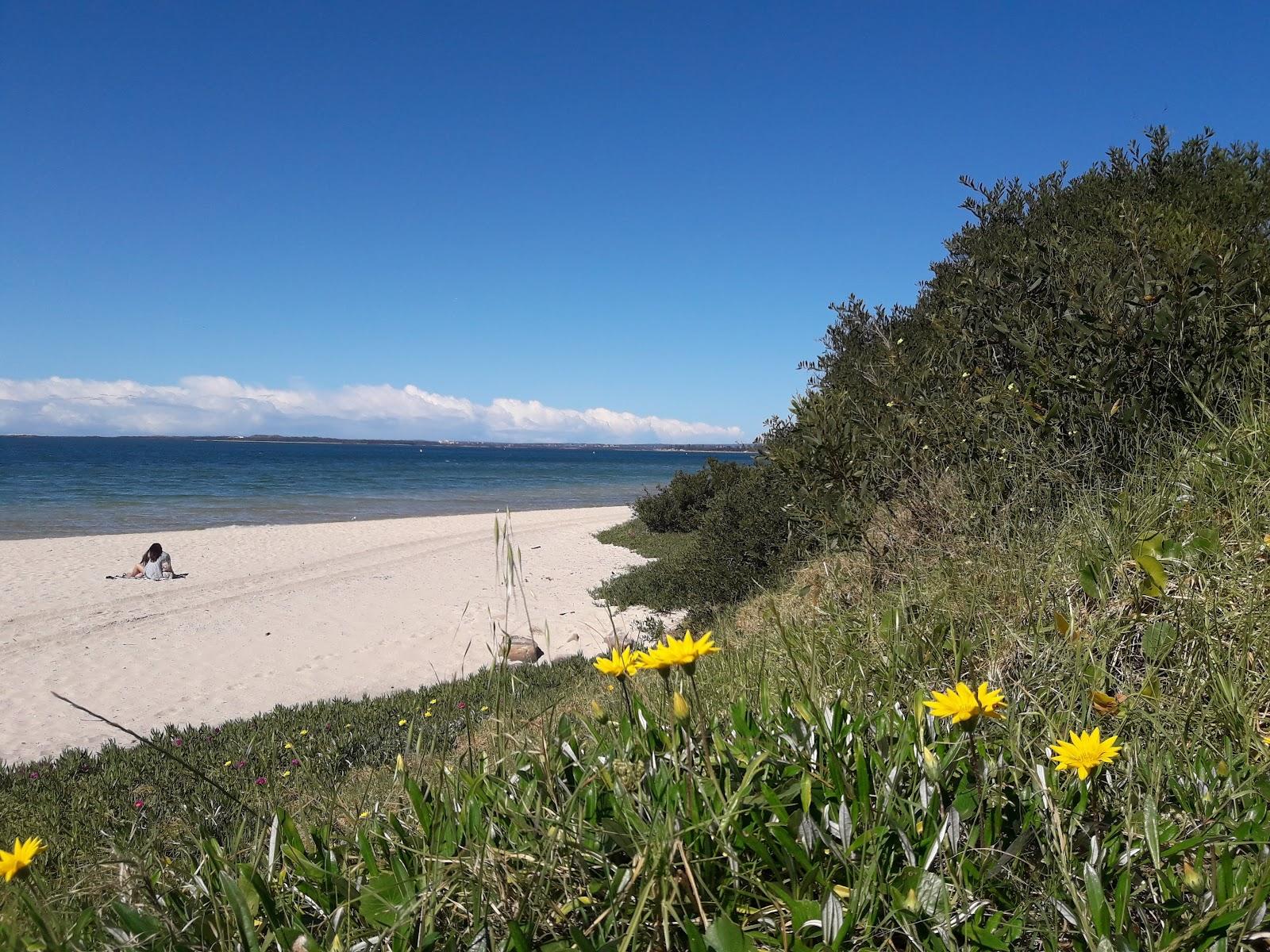 Sandee Kyeemagh Beach And Baths Photo