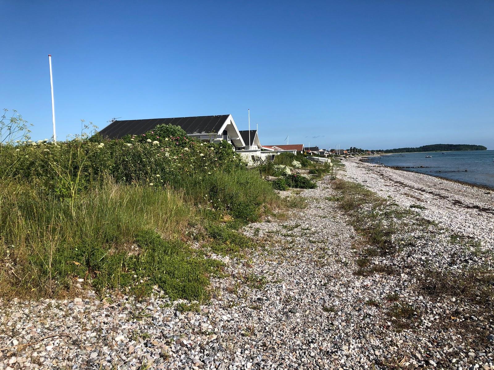 Sandee Bøgebjerg Strand