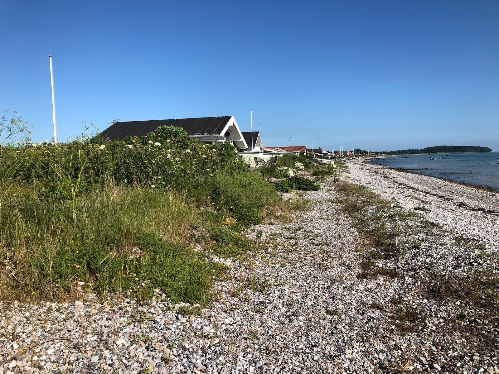 Sandee Bøgebjerg Strand Photo