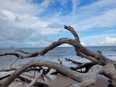 Sandee - Big Talbot Island State Park