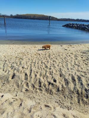 Sandee - Watersedge Park