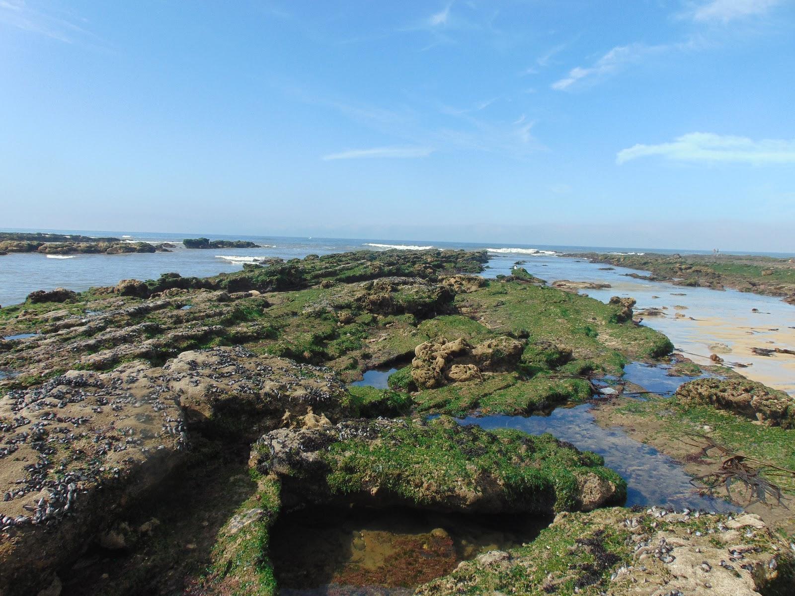 Sandee - Praia Da Tamargueira