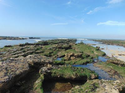 Sandee - Praia Da Tamargueira