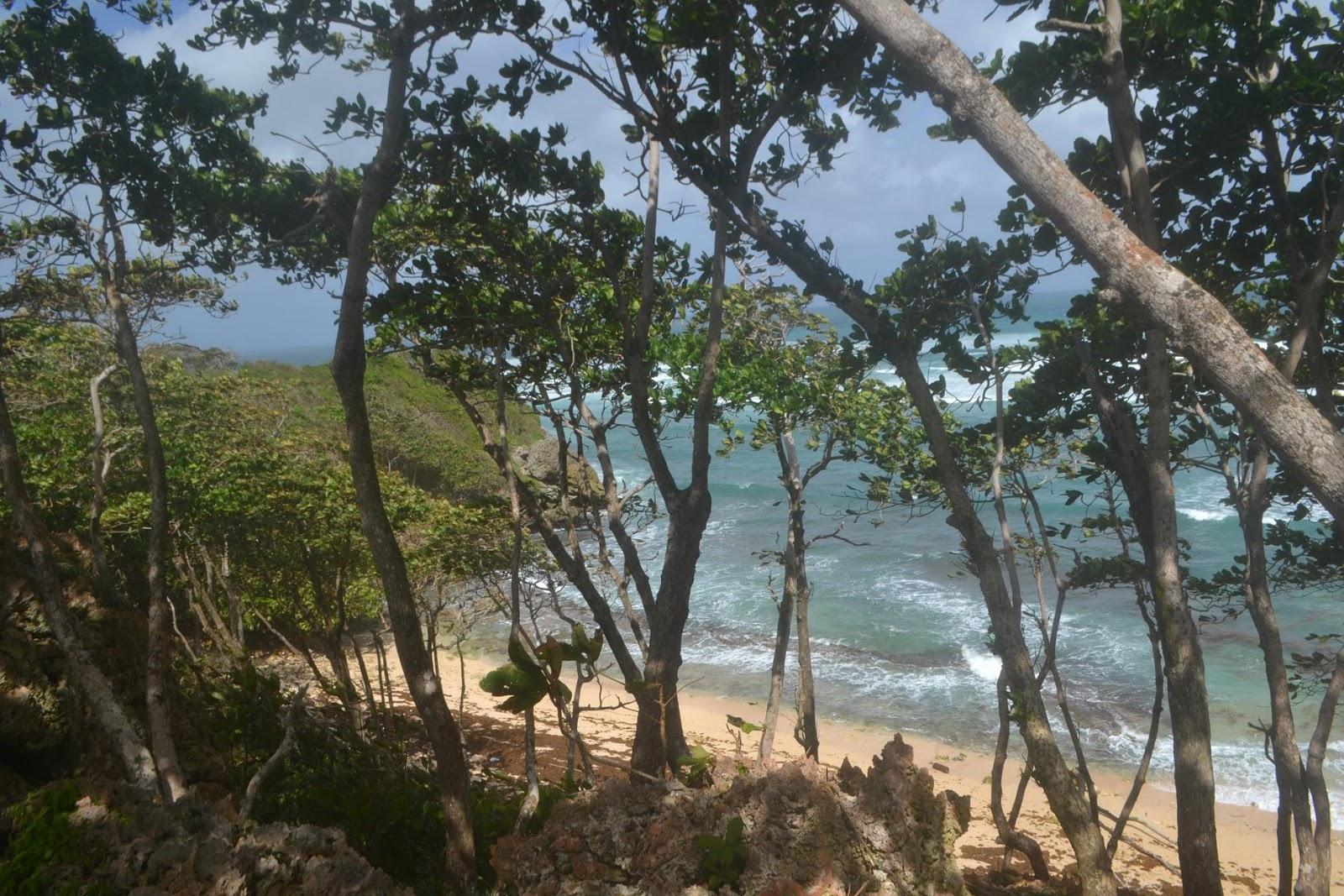 Sandee - Playa Patroyan