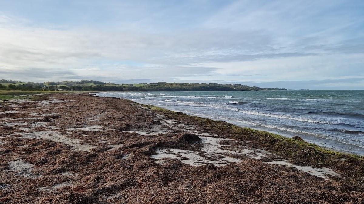 Sandee - Høve Strand Offentlig