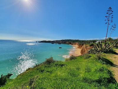 Sandee - Praia Dos Careanos