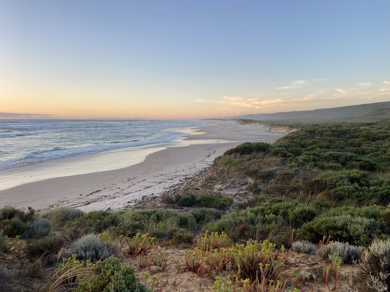 Sandee Malimup Beach Photo