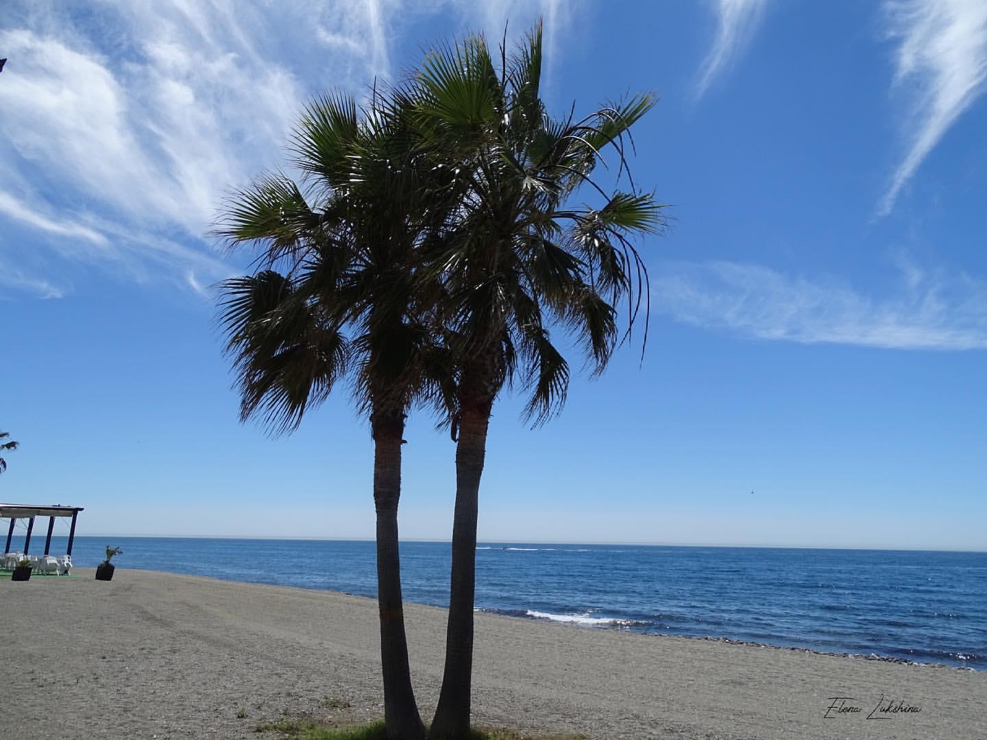 Sandee - Playa Del San Pedro De Alcantara