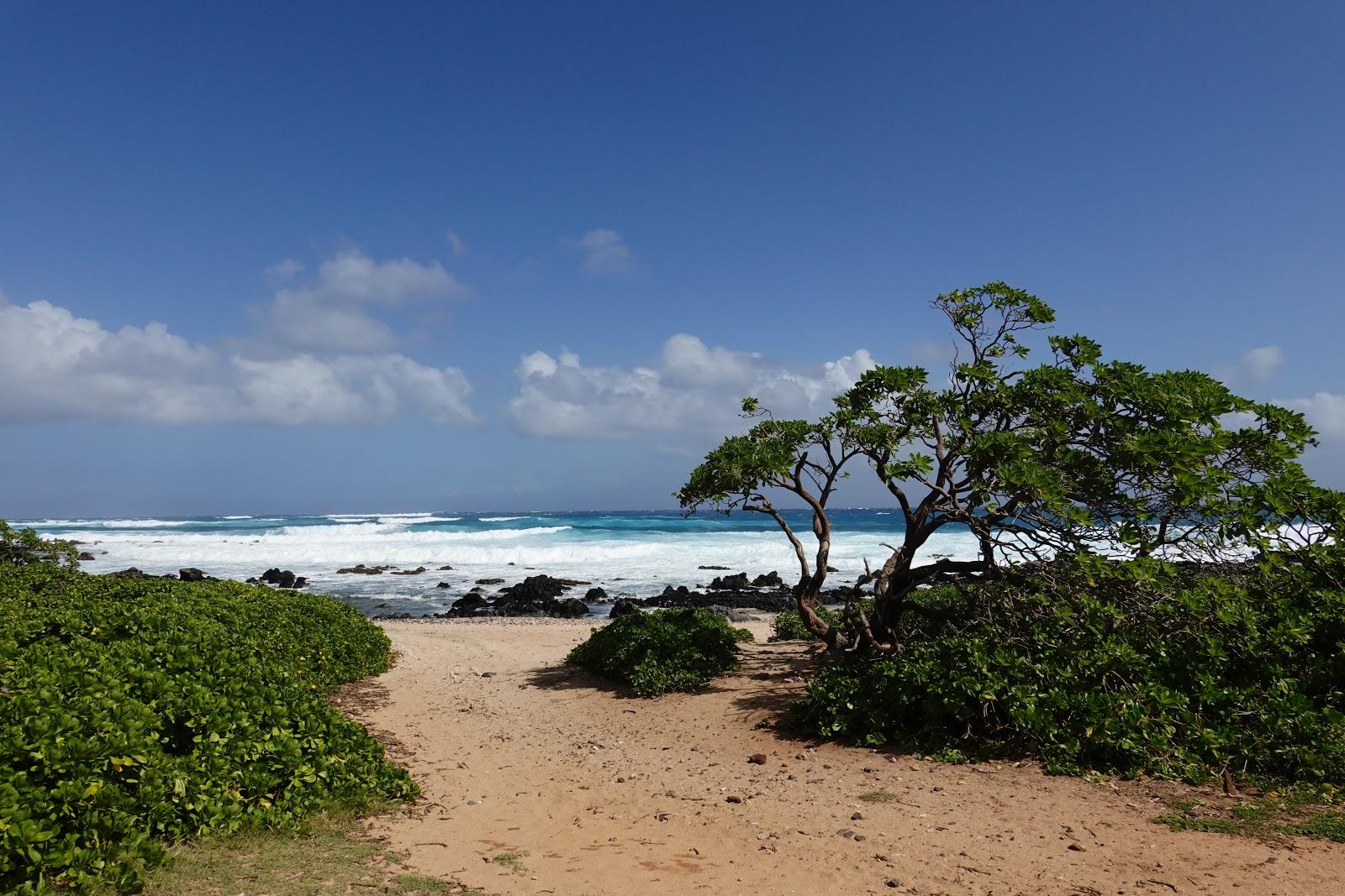 Sandee - Kaloko Beach