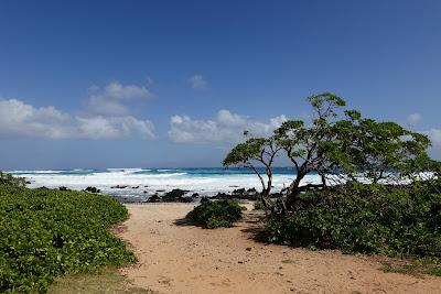 Sandee - Kaloko Beach