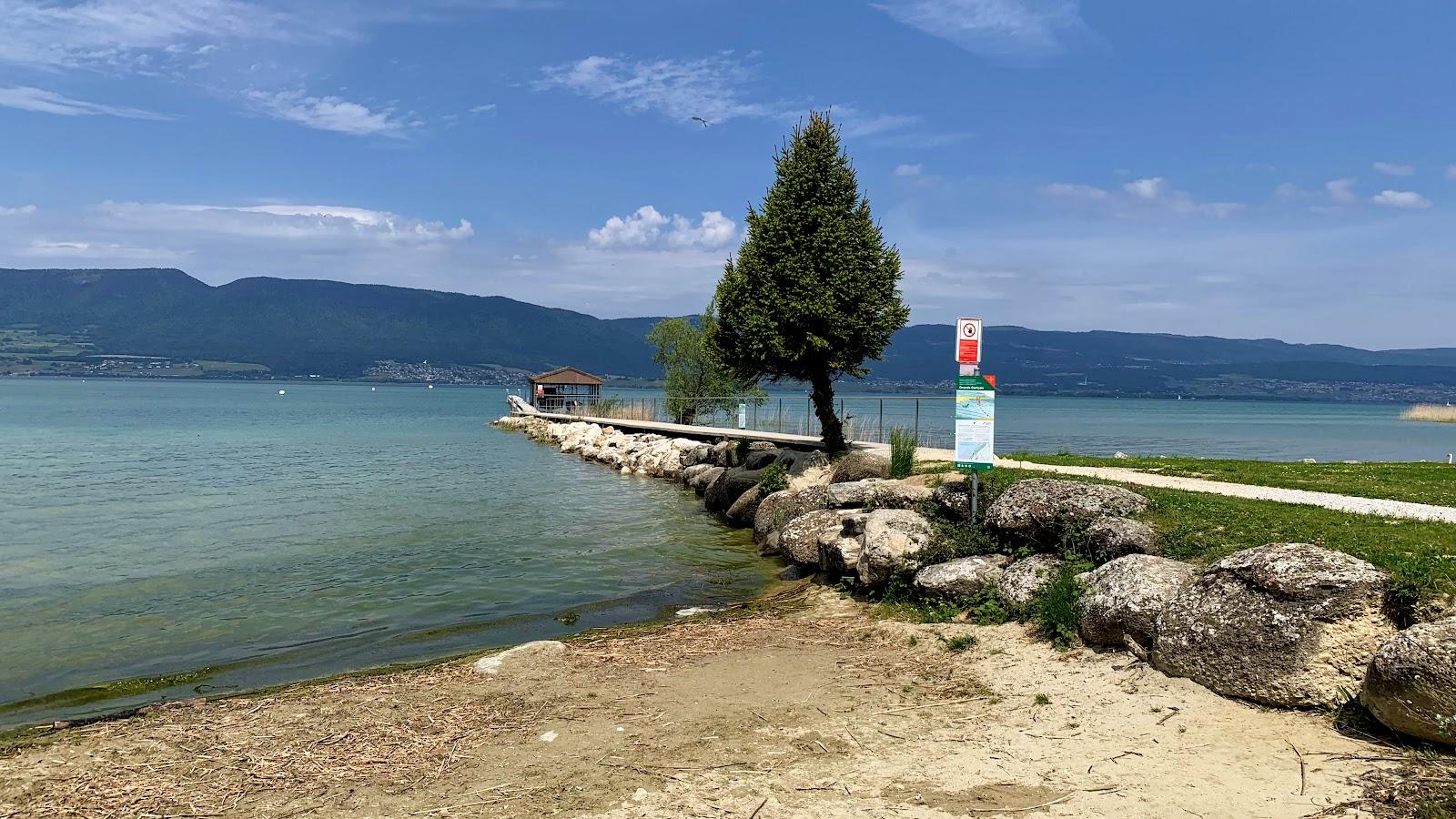 Sandee Forel Plage