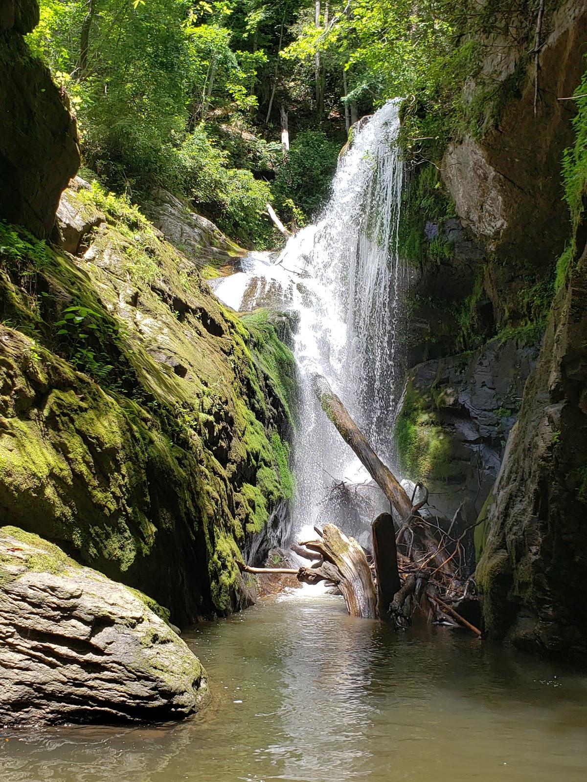 Sandee - Devils Fork State Park