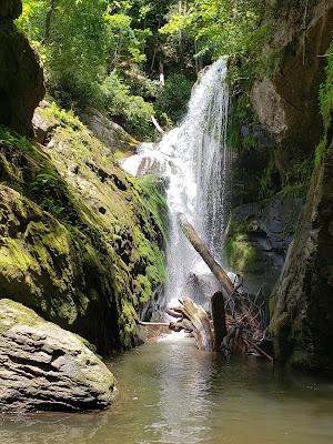 Sandee - Devils Fork State Park