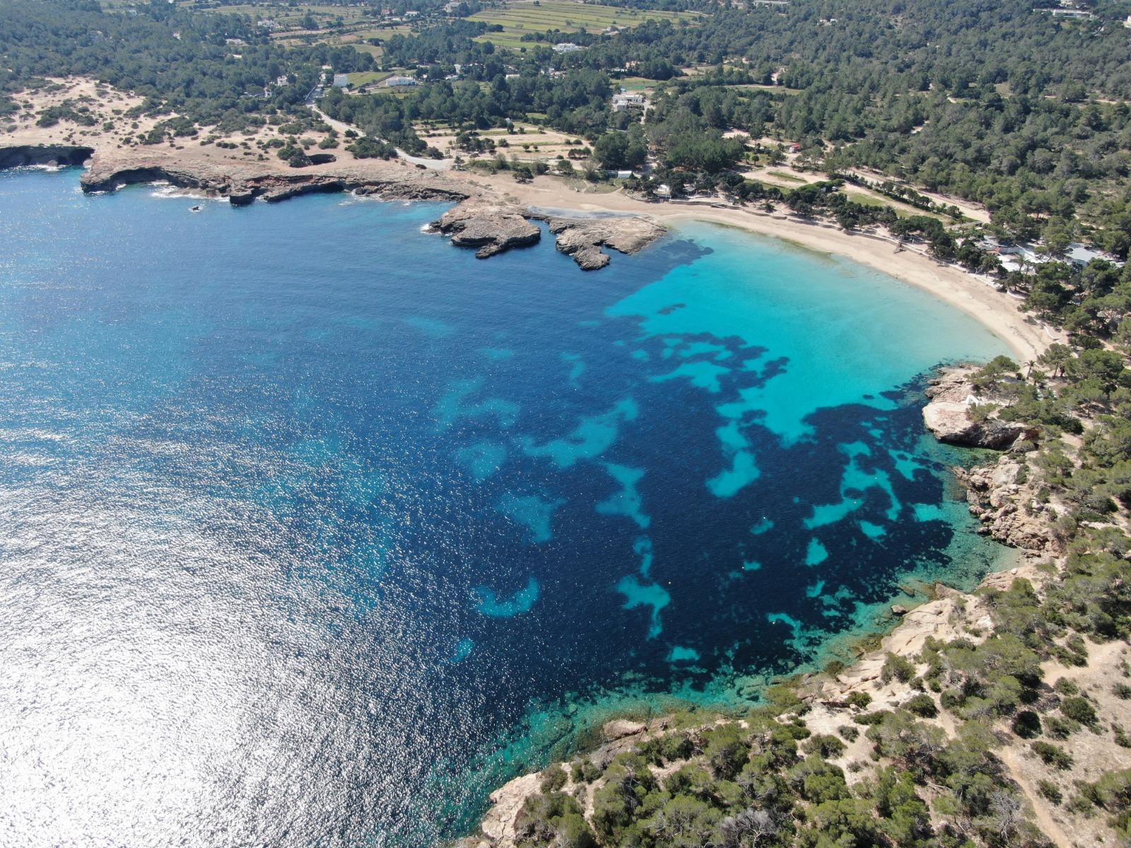 Sandee Ibiza