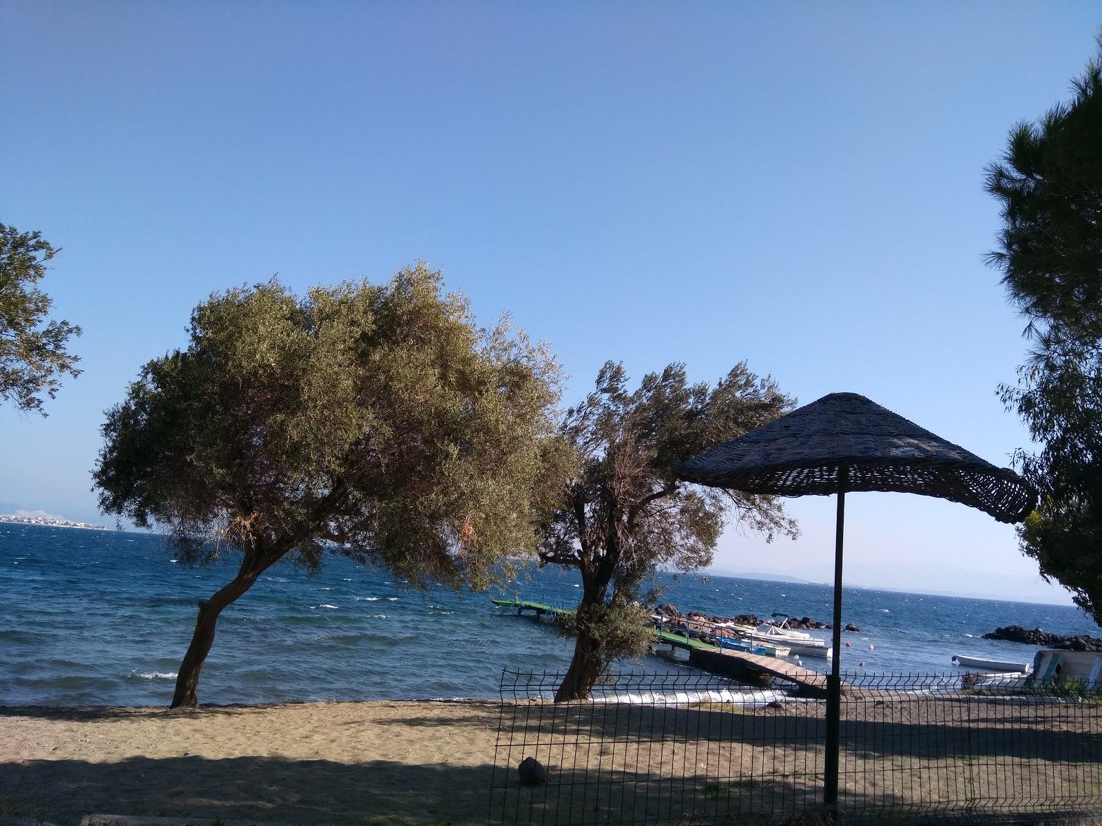 Sandee Flamingo Beach