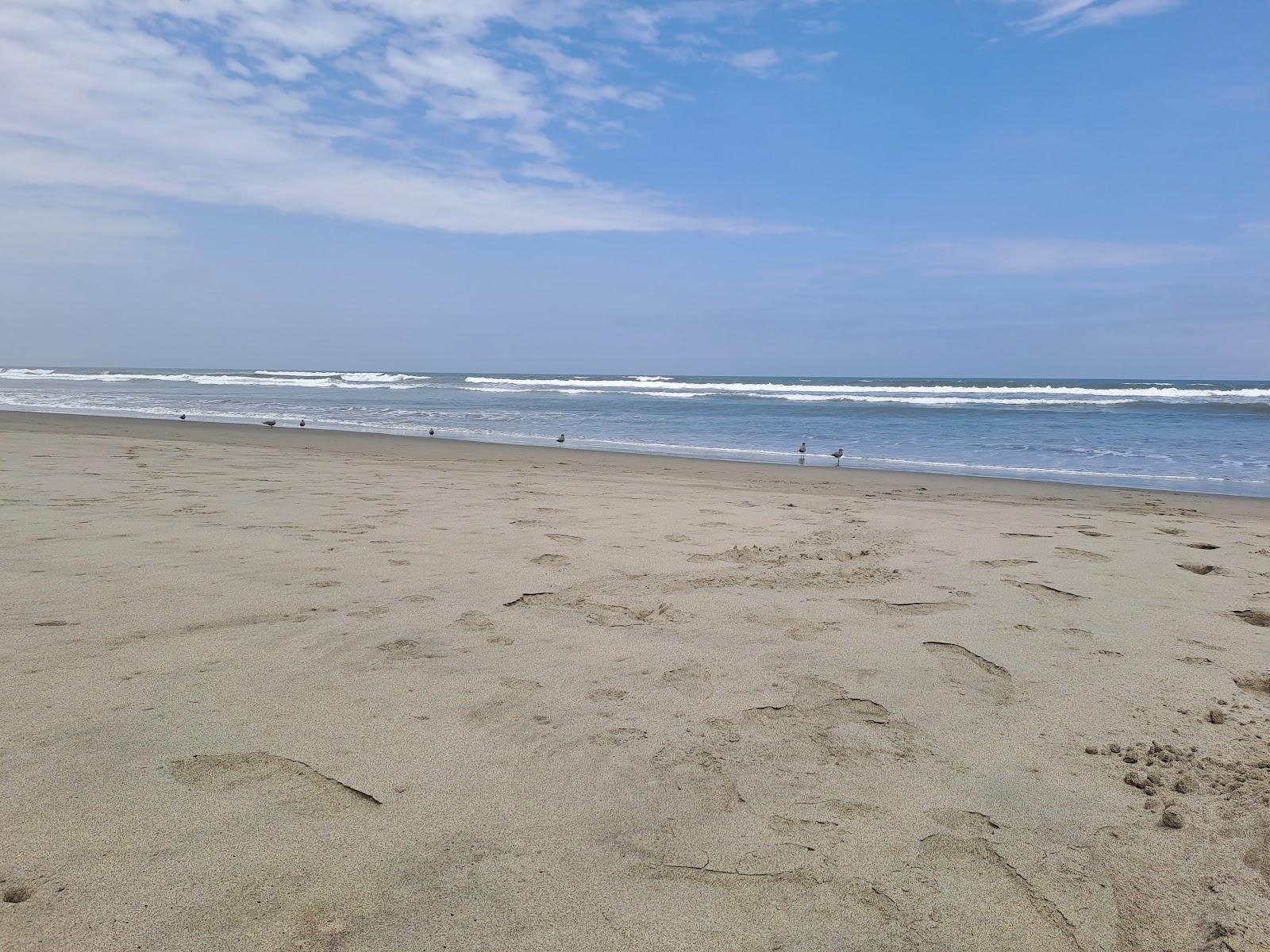 Sandee Las Gaviotas Beach