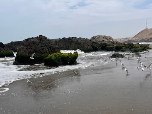 Sandee - Playa Chepeconde