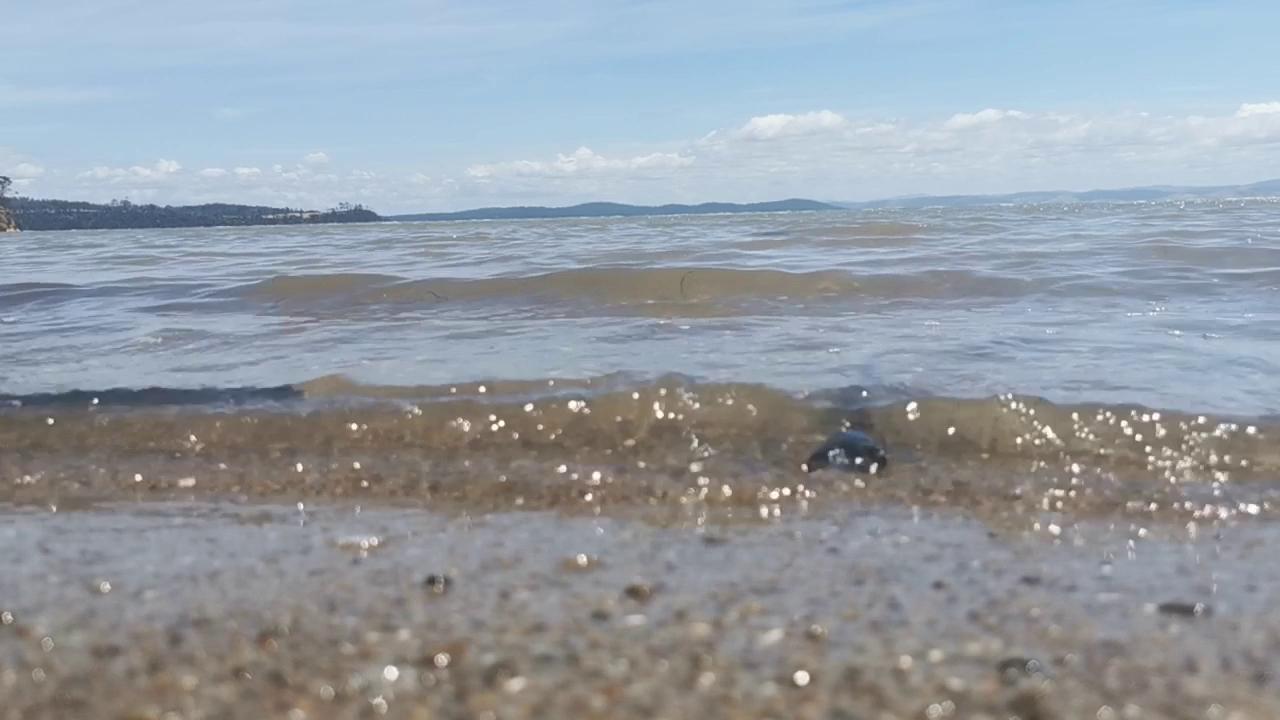 Sandee Parkers Beach