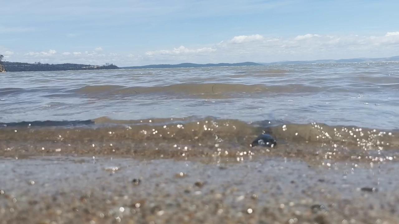 Sandee Parkers Beach Photo