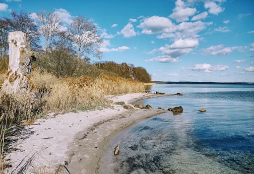 Sandee - Løgismose Strand