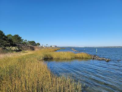 Sandee - Holts Landing State Park