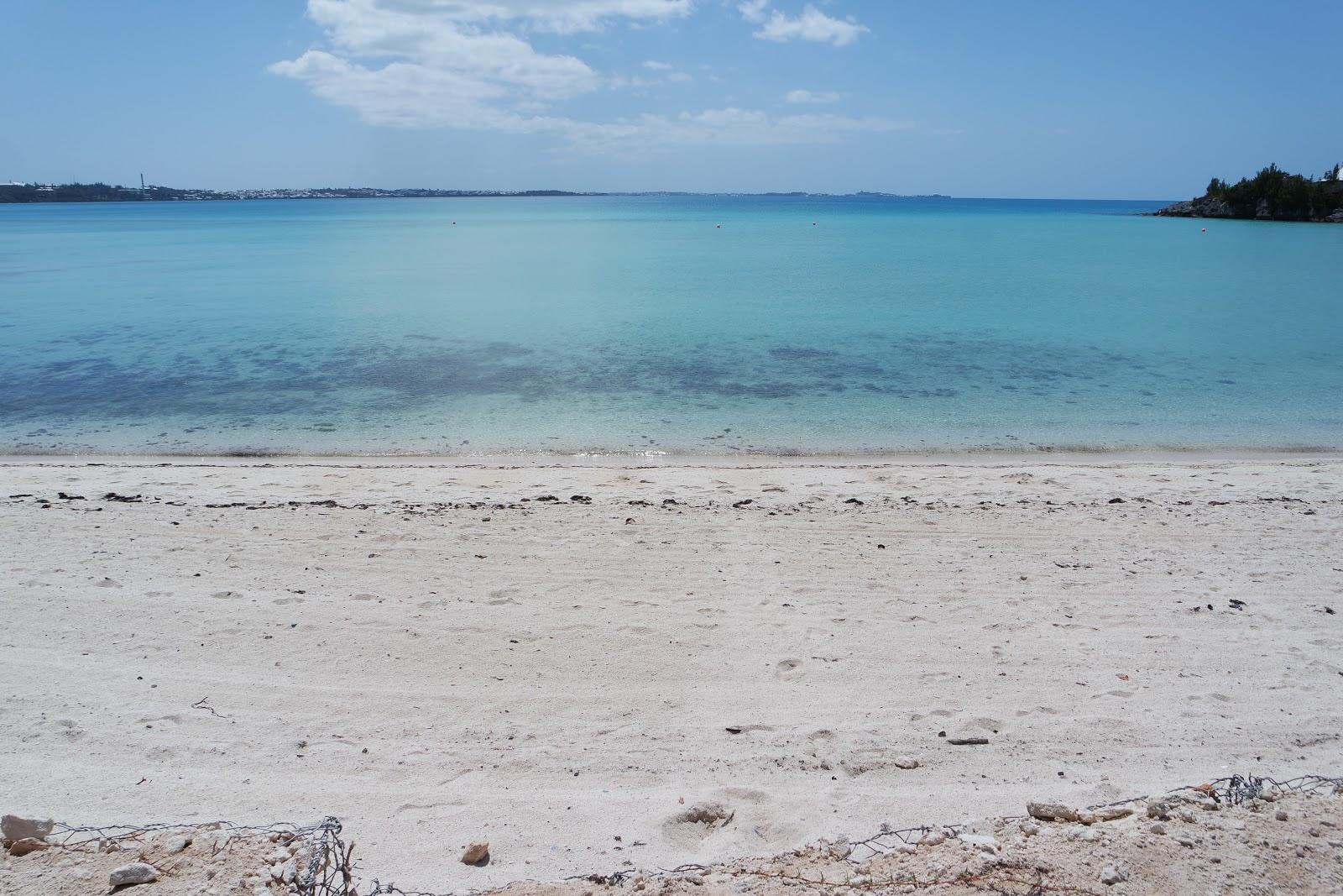 Sandee Shelly Bay Beach Photo