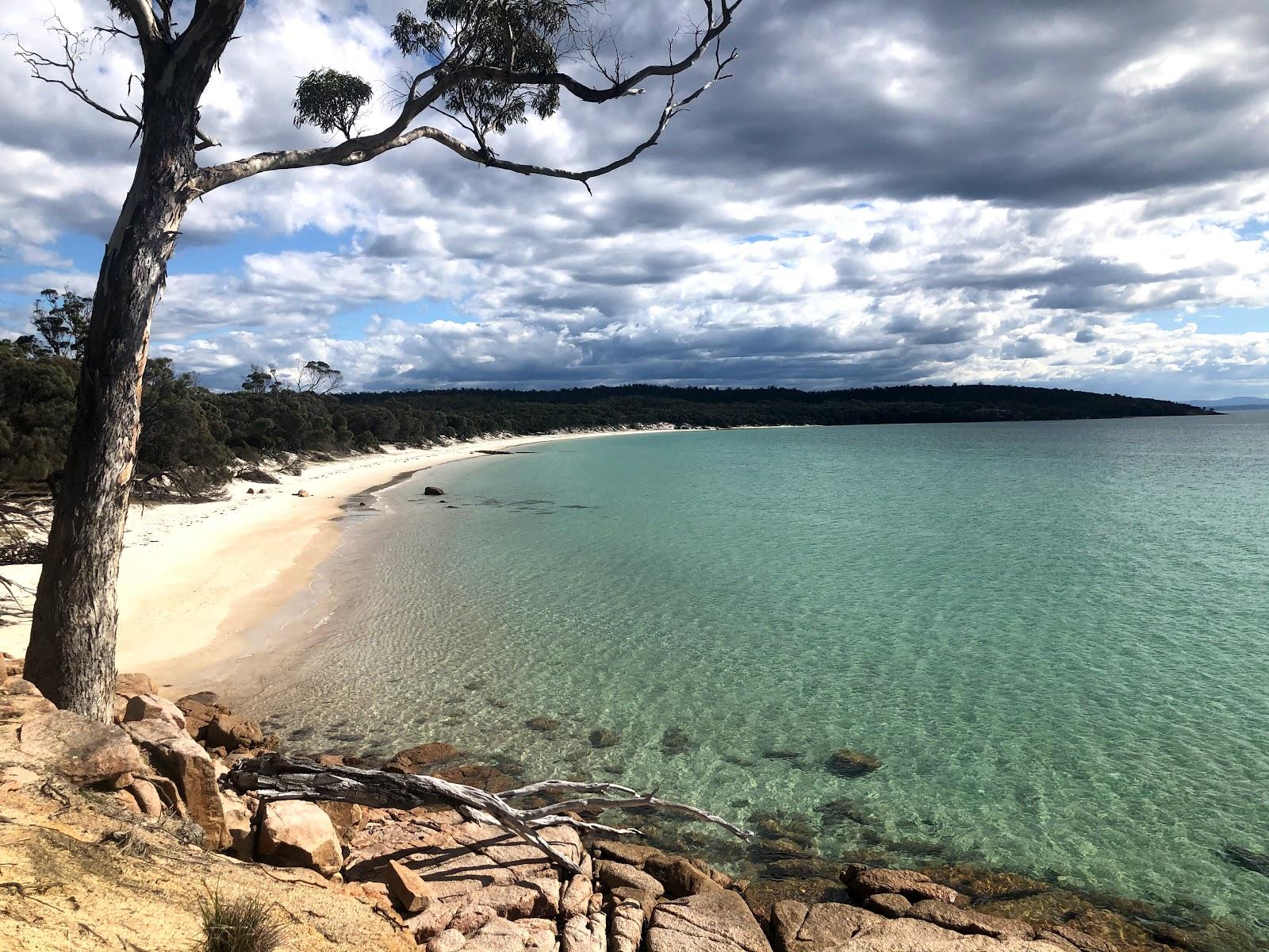 Sandee Cooks Beach Photo