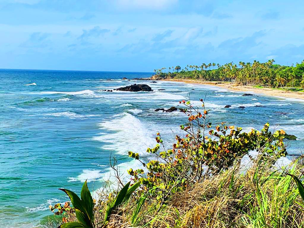 Sandee Guayamare Beach Photo