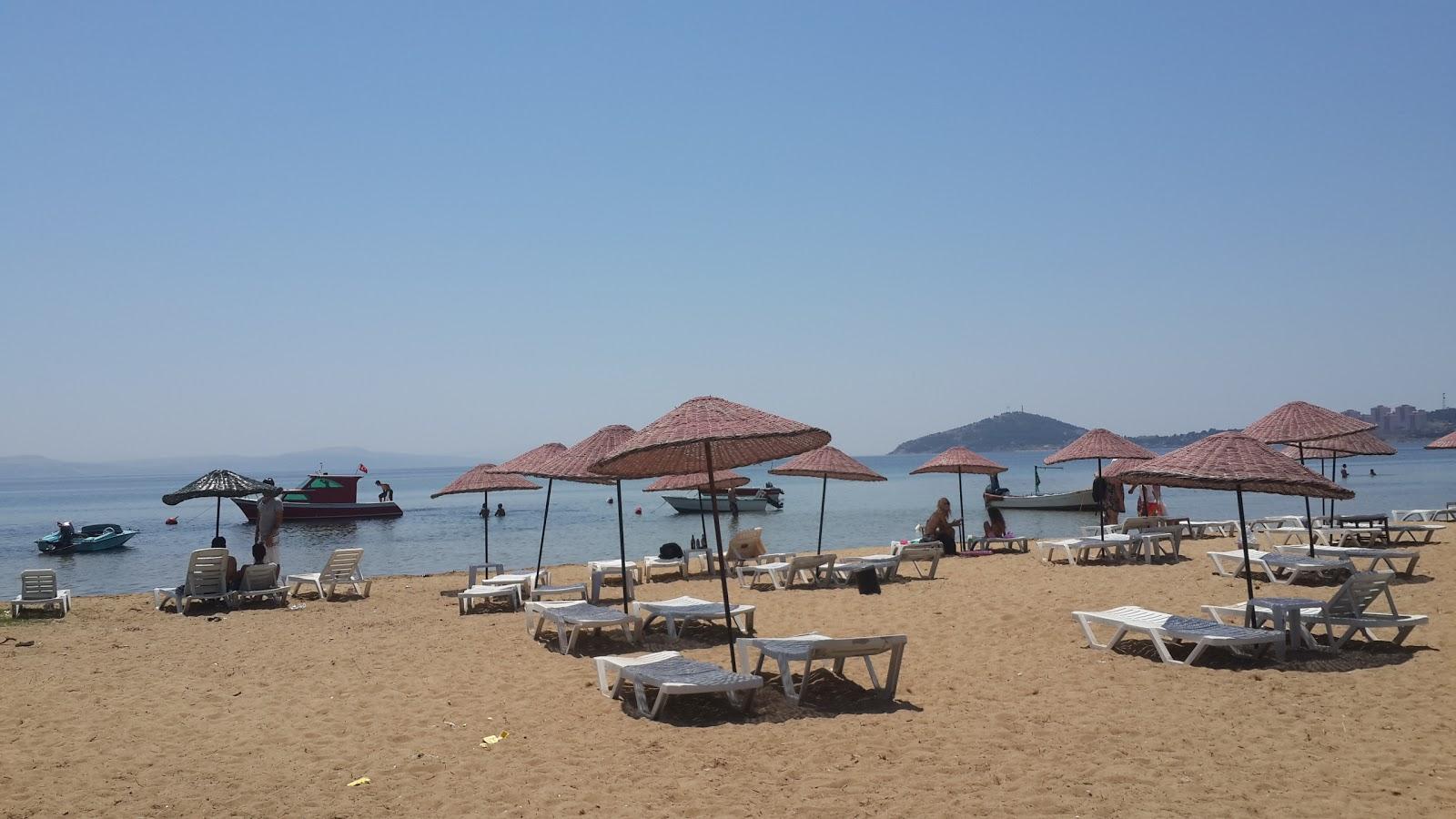 Sandee Zeytin Beach
