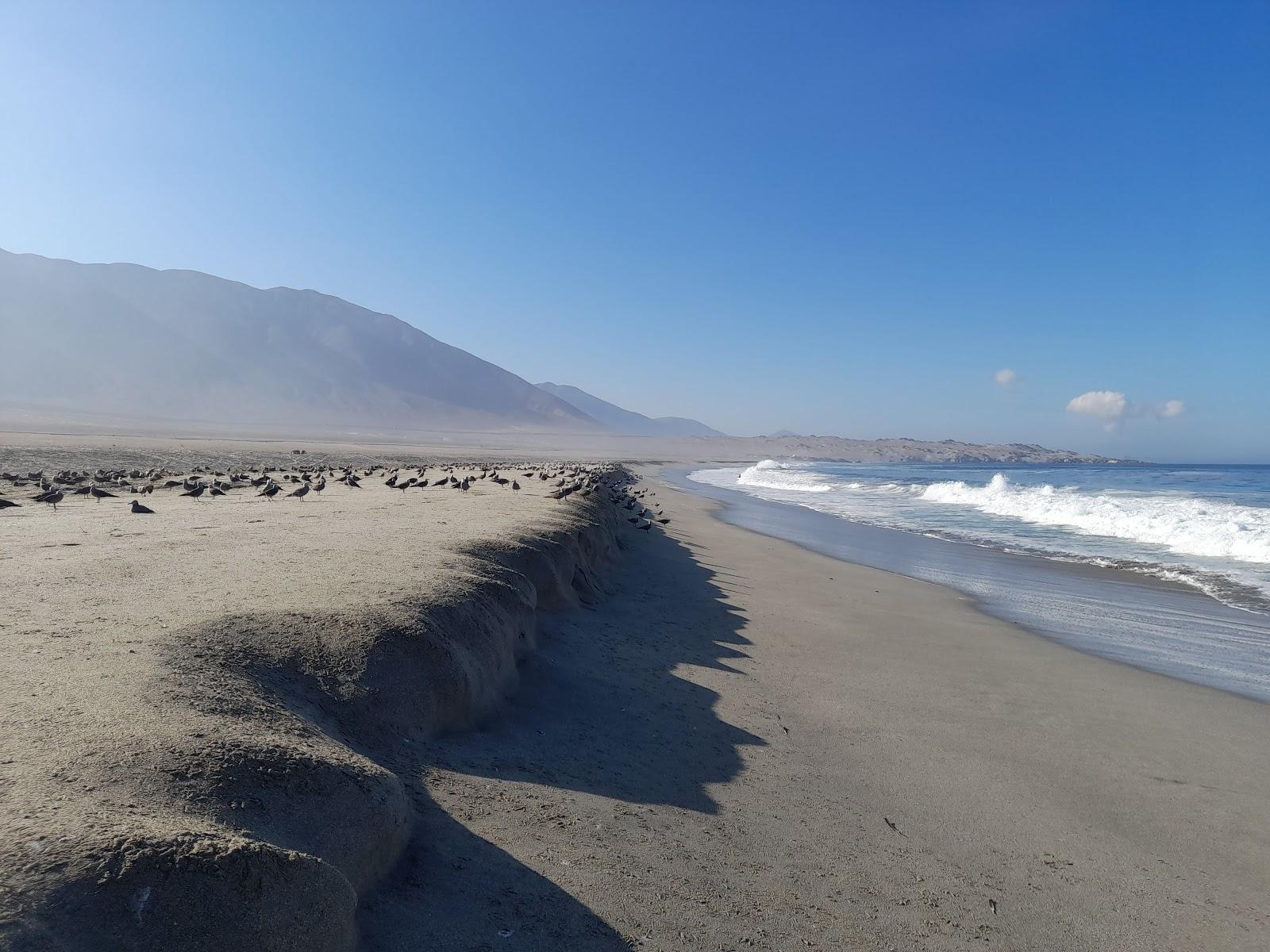 Sandee Punta Itata