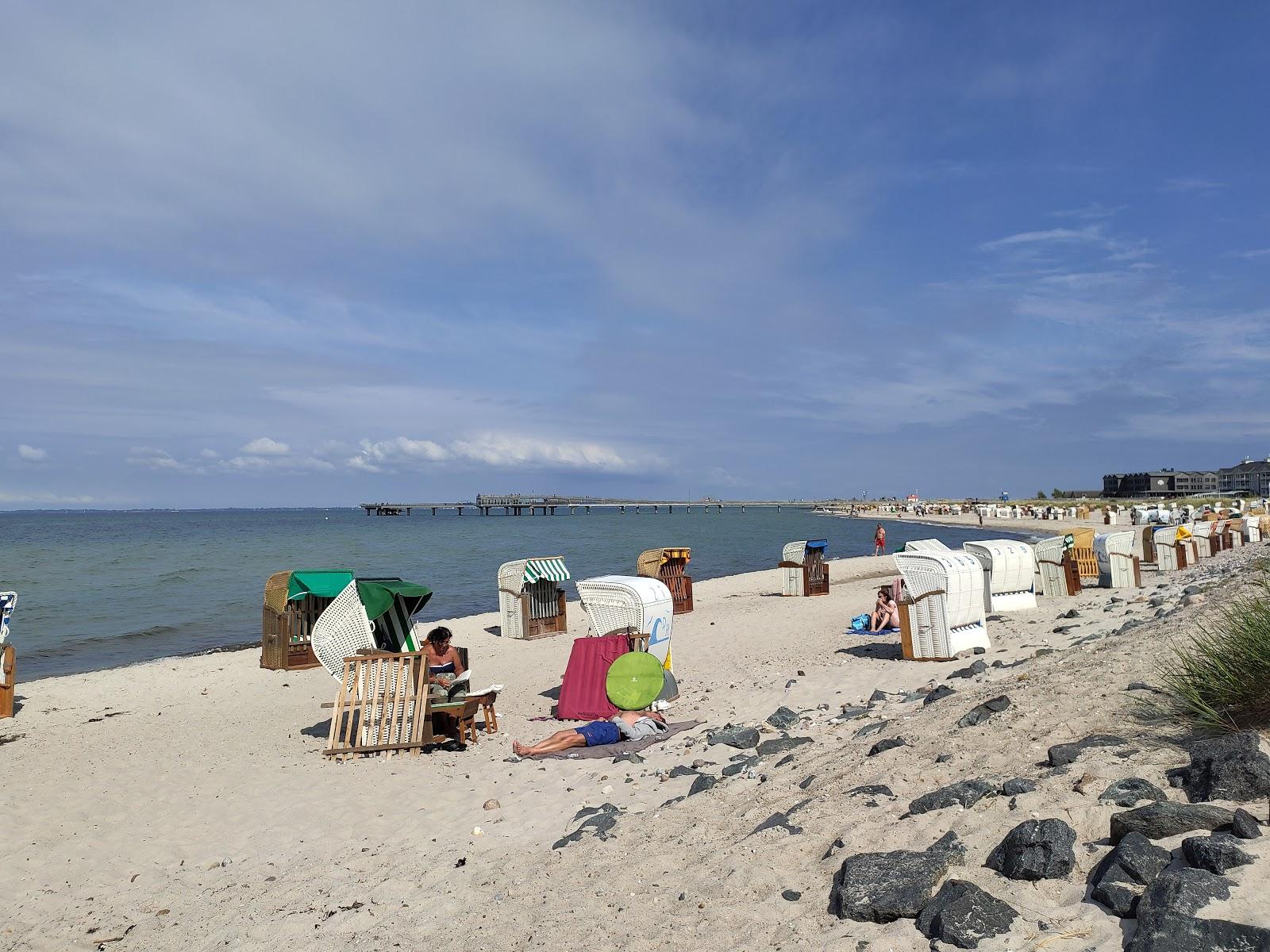 Sandee Hundestrand Heiligenhafen