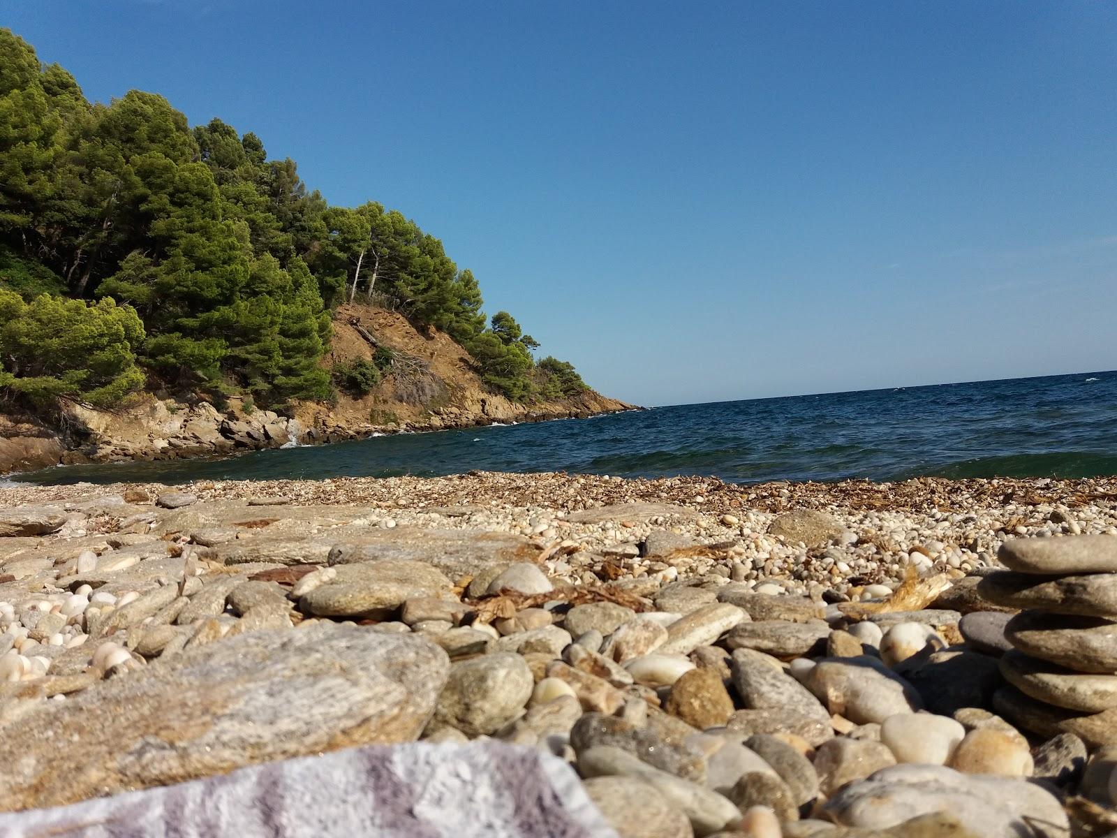 Sandee Plage Des Amphores
