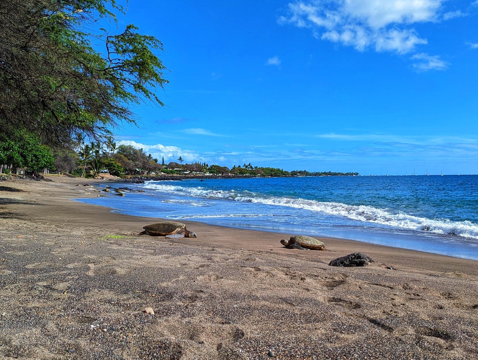 Sandee Wahikuli State Wayside Park Photo