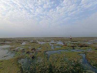 Sandee - MulDwarka Beach Test