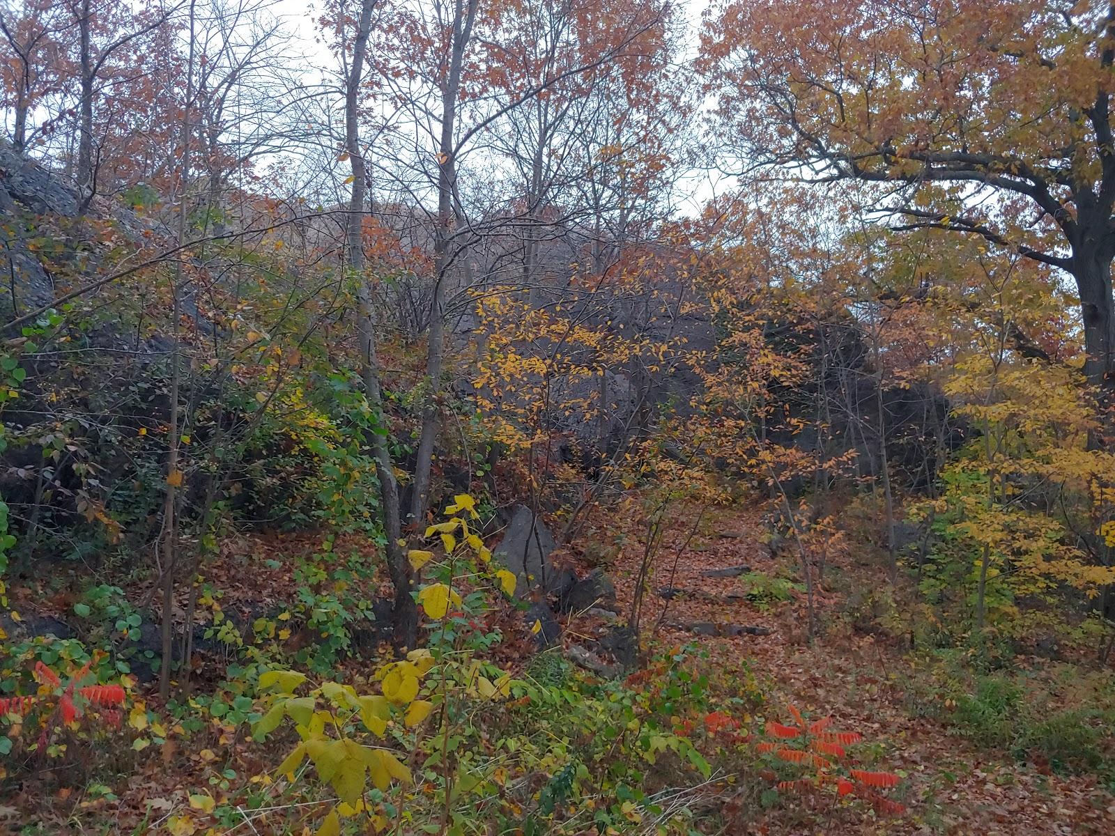 Sandee Savin Hill