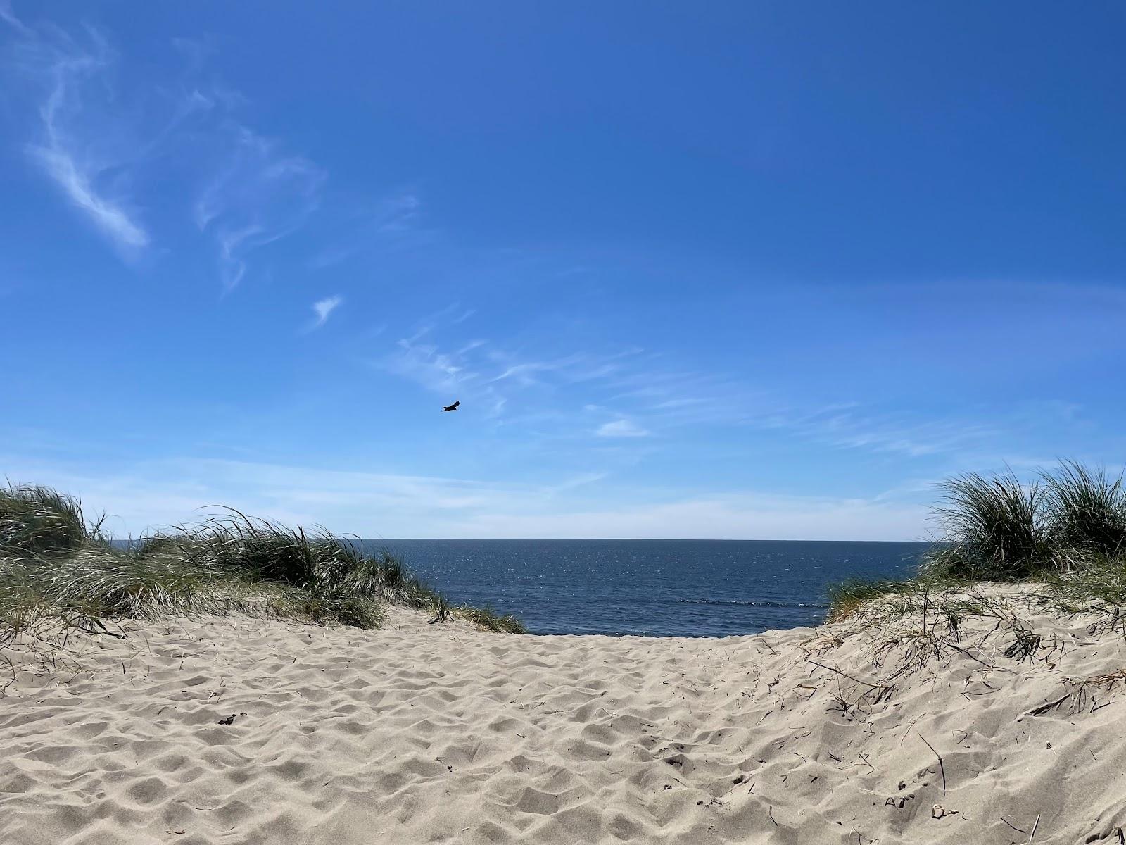 Sandee - South Jetty Beach 1 Day Use