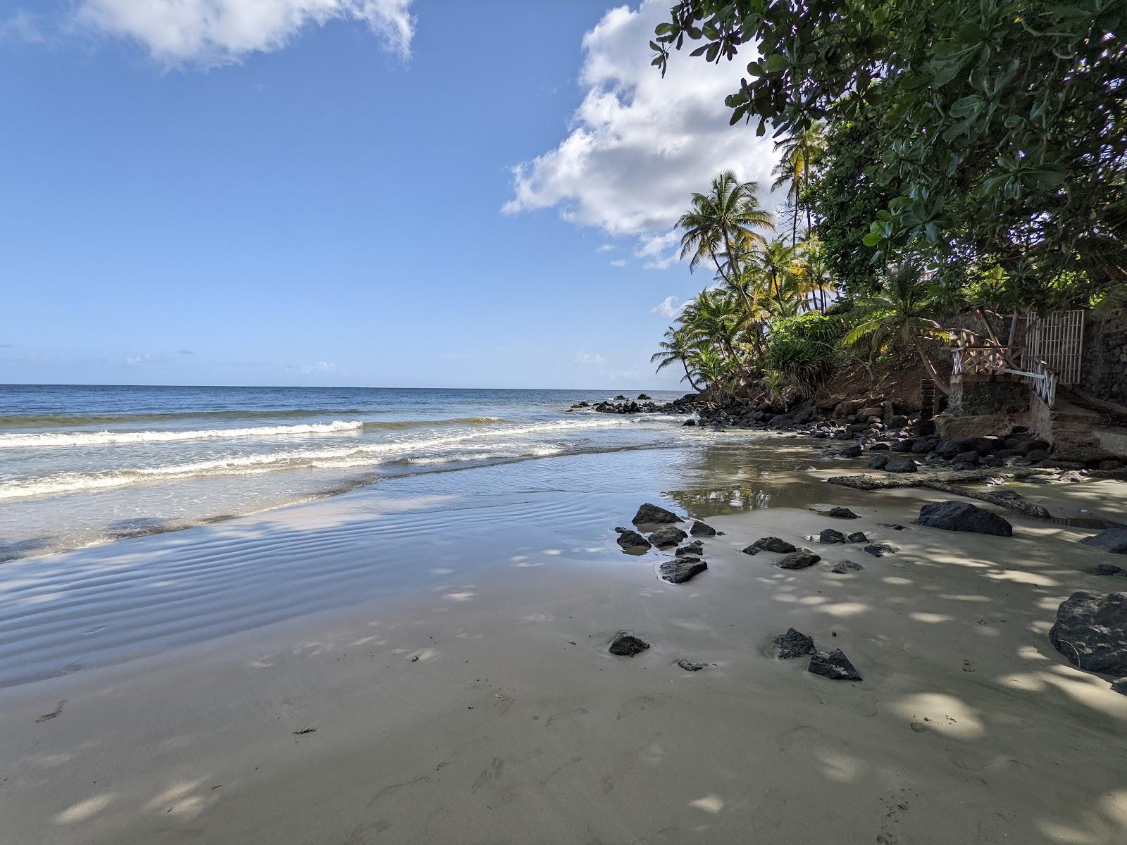 Sandee Bacolet Bay
