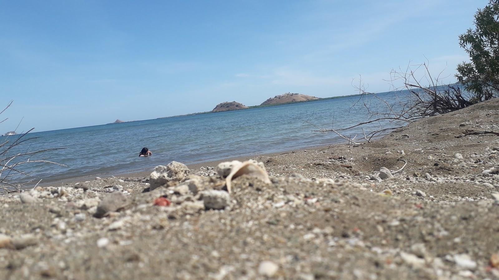 Sandee Labu Beru Daya Makmur Kokarlian