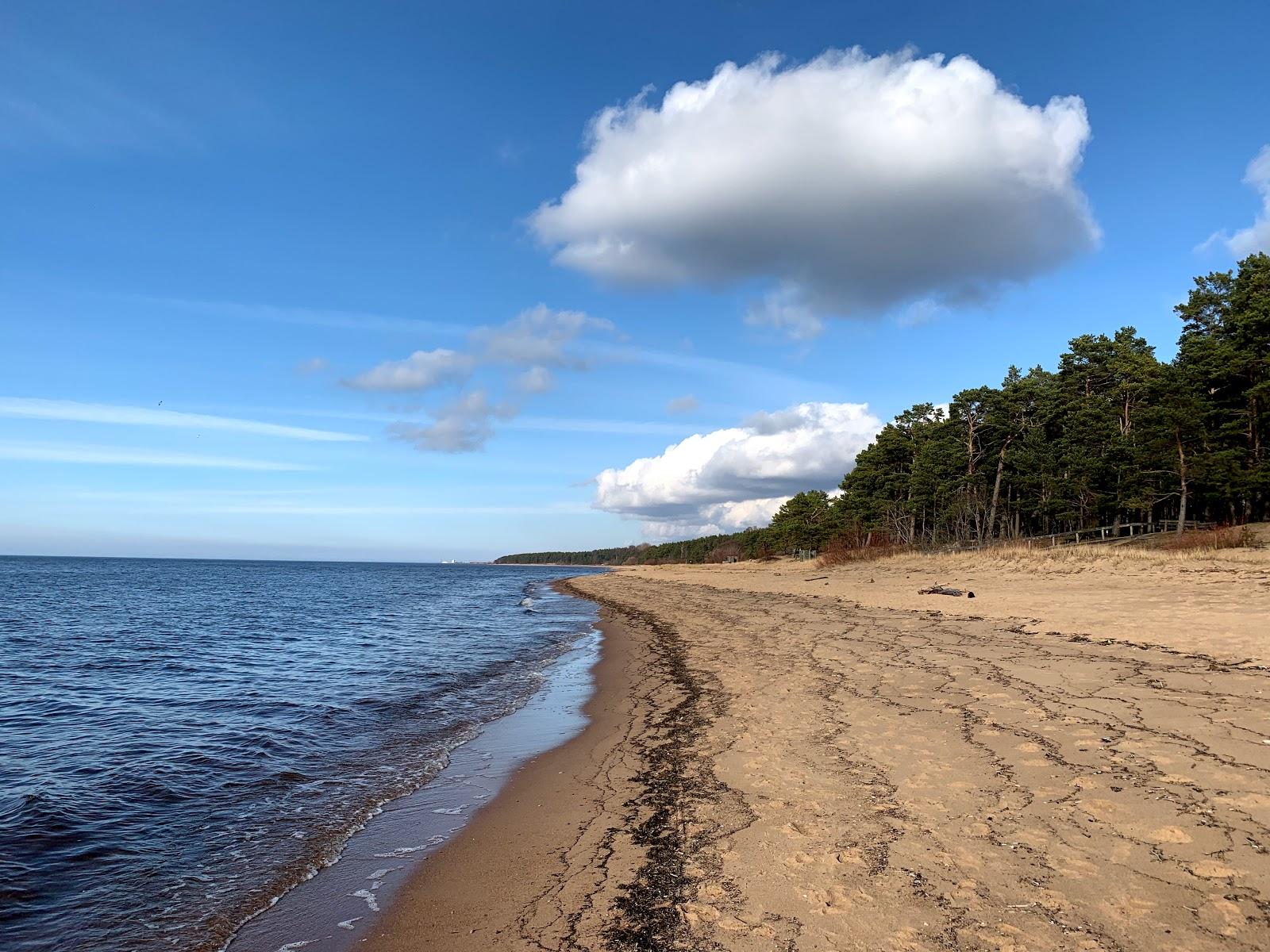 Sandee Saulkrasti Beach
