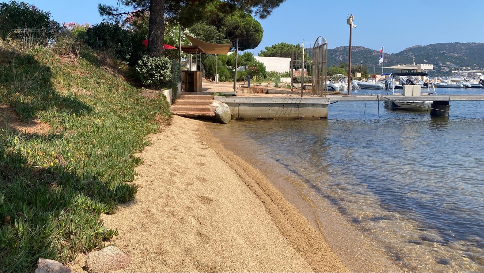 Sandee Marina Di Fiori Bay - Cala A A Marina Di Fiori