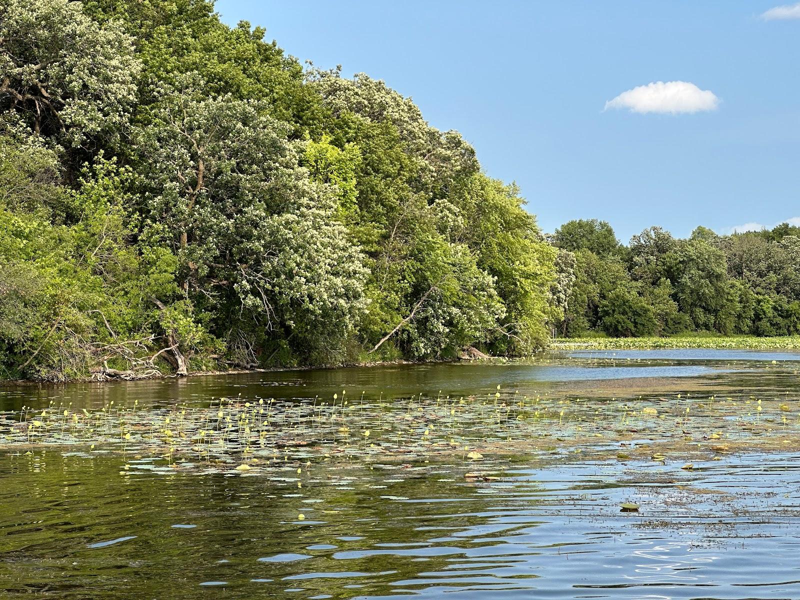 Sandee - Bryant Lake Public Beach