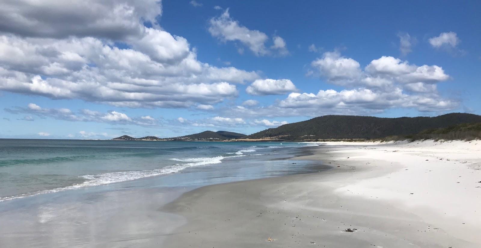 Sandee Denison Beach
