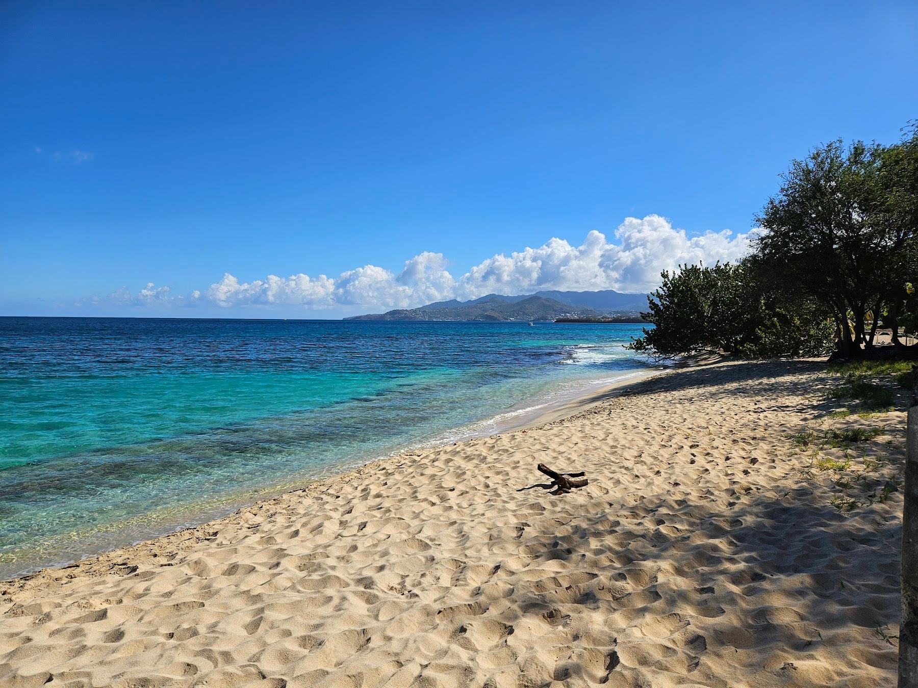 Sandee Magazine Beach