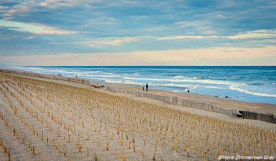 Sandee - Bay Head Beach