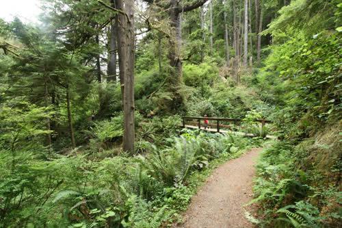 Sandee Central Coast Ranger District