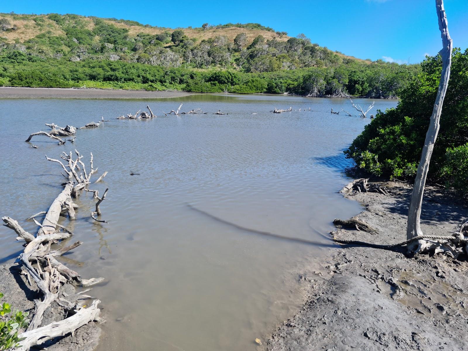 Sandee - Bains De Boue / Mud Baths