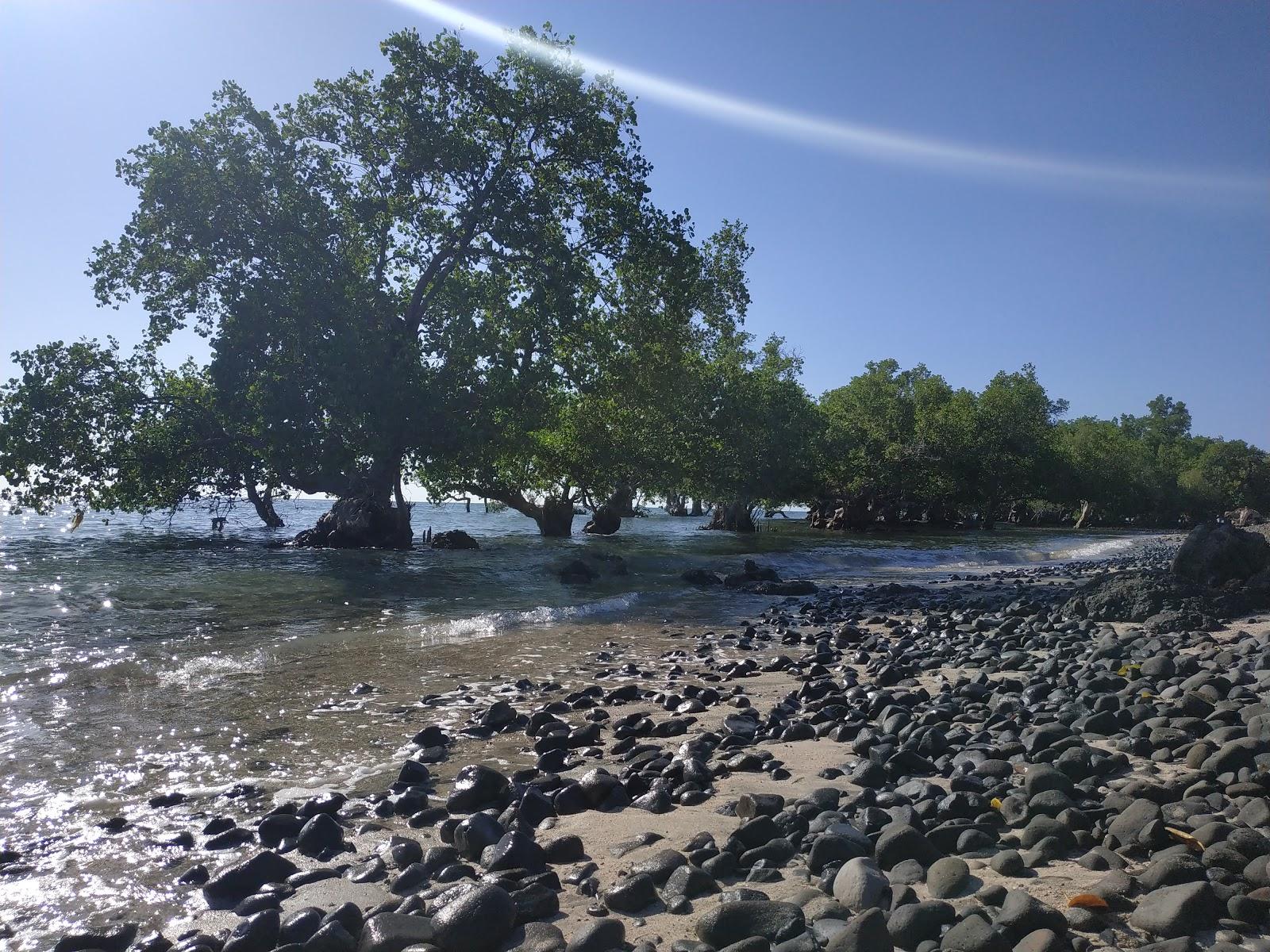 Sandee Pantai Oeusapi Photo